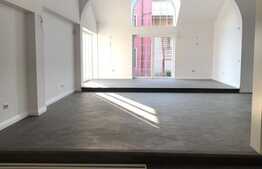 Imobil deosebit de elegant pentru pretentiosi