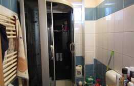 De vanzare garsoniera, 44 mp, decomandata, zona strazii Campului