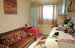 De vanzare garsoniera, 44 mp, decomandata, zona strazii Campului