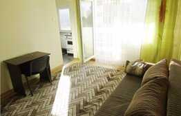 Garsoniera de inchiriat, 28 mp, zona Complexului Nora 