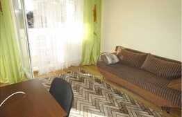 Garsoniera de inchiriat, 28 mp, zona Complexului Nora 