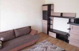 Garsoniera de inchiriat, 28 mp, zona Complexului Nora 