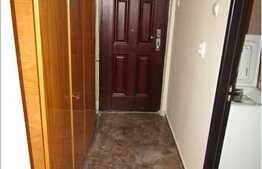 Garsoniera de inchiriat, 28 mp, zona Complexului Nora 