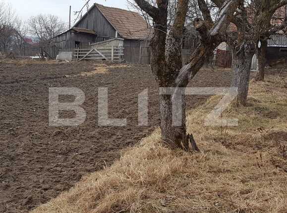 Casa de vânzare 2 camere Feleacu - 24650CV | BLITZ Cluj-Napoca | Poza2