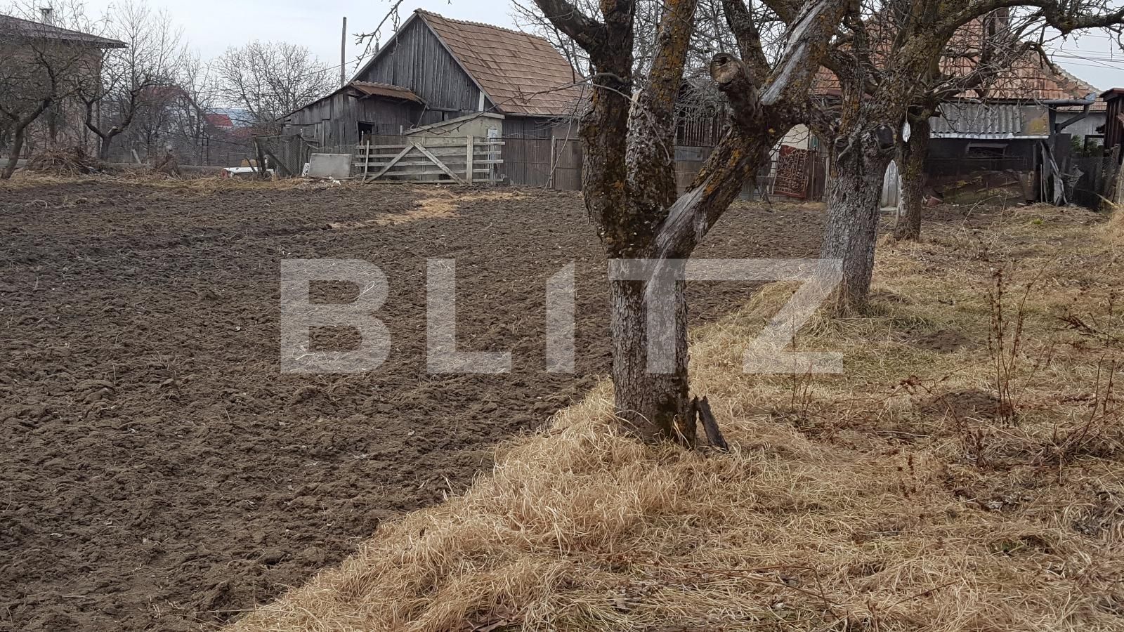 Casa de vânzare 2 camere Feleacu - 24650CV | BLITZ Cluj-Napoca | Poza2