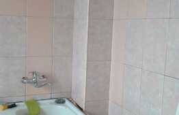 Garsoniera de vanzare, 24 mp, etaj intermediar, zona Expo Transilvania