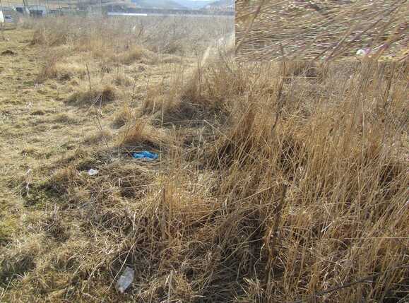 Teren de vânzare Floreşti - 24664TV | BLITZ Cluj-Napoca | Poza2