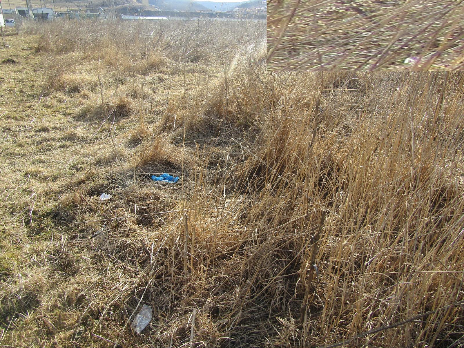 Teren de vânzare Floreşti - 24664TV | BLITZ Cluj-Napoca | Poza2