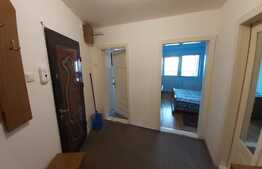 Apartament pet friendly, 2 camere decomandate, 57 mp, zona Profi