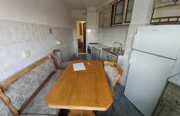 Apartament pet friendly, 2 camere decomandate, 57 mp, zona Profi