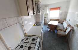 Apartament pet friendly, 2 camere decomandate, 57 mp, zona Profi