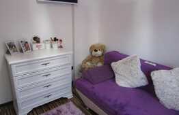 De vanzare apartament 3 camere, 47 mp, garaj, zona strazii Clabucet