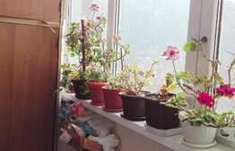 Apartament 1 camera, 34 mp, decomandata, 2 locuri de parcare, zona Vivo