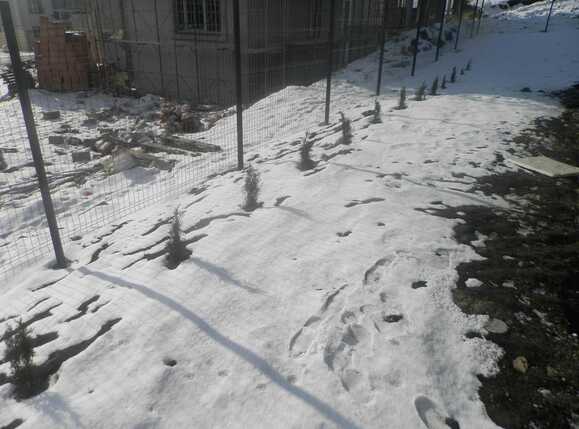 Apartament de vânzare 2 camere Grigorescu - 24733AV | BLITZ Cluj-Napoca | Poza8