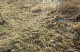 Teren intravilan de vanzare 1500 mp, front de 60 ml! Zona nou dezvoltata!