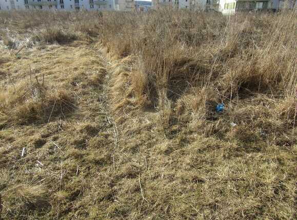 Teren de vânzare Floreşti - 24751TV | BLITZ Cluj-Napoca | Poza1