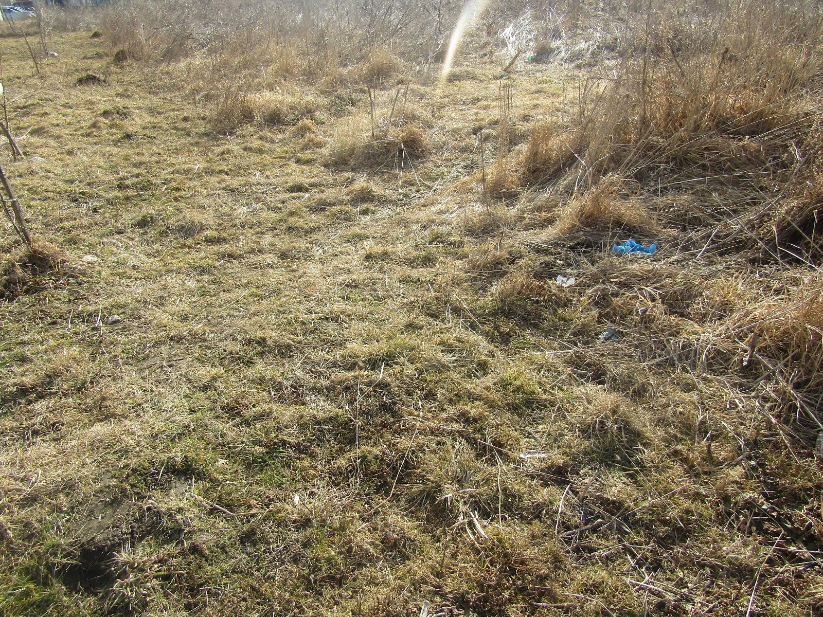 Teren de vânzare Floreşti - 24751TV | BLITZ Cluj-Napoca | Poza2