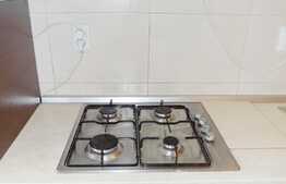 Garsoniera de inchiriat, 42 mp, zona strazii Lalelelor