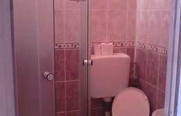 Garsoniera 24 mp, mobilata, zona Auchan Iris