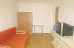 Garsoniera de inchiriat, 24 mp, zona Expo Transilvania