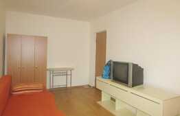 Garsoniera de inchiriat, 24 mp, zona Expo Transilvania