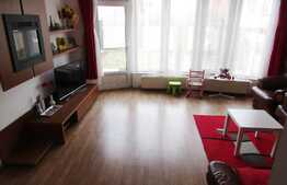 Casa individuala, 180 mp utili, 220 mp teren, zona linistita!