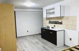 Garsoniera 25 mp, mobilata modern, zona Facultatii de Litere