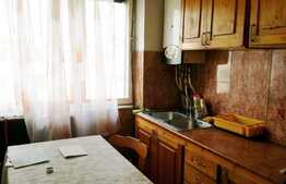 Apartament 2 camere, 48 mp, parcare, zona Cinema Florin Piersic