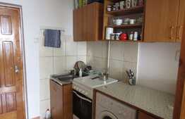 De vanzare garsoniera 20,3 mp, etaj intermediar, zona strazii Orastiei