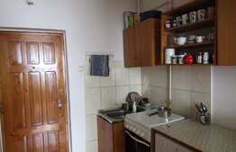 De vanzare garsoniera 20,3 mp, etaj intermediar, zona strazii Orastiei