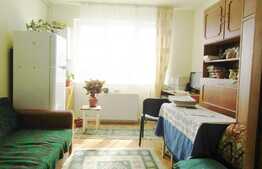 De vanzare garsoniera 20,3 mp, etaj intermediar, zona strazii Orastiei