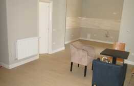 De inchiriat garsoniera 40 mp, imobil casa/vila, prima inchiriere, zona centrala