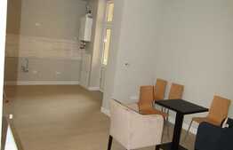 De inchiriat garsoniera 40 mp, imobil casa/vila, prima inchiriere, zona centrala