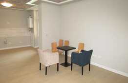 De inchiriat garsoniera 40 mp, imobil casa/vila, prima inchiriere, zona centrala