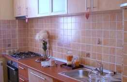 Apartament 1 camera, 40 mp utili, mobilat modern, zona strazii Liviu Rebreanu