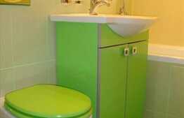 Apartament 1 camera, 40 mp utili, mobilat modern, zona strazii Liviu Rebreanu