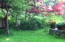 Casa individuala de vacanta, 35 mp utili, teren 3000 mp, zona linistita