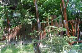 Casa individuala de vacanta, 35 mp utili, teren 3000 mp, zona linistita