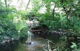 Casa individuala de vacanta, 35 mp utili, teren 3000 mp, zona linistita