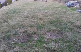 Casa individuala, 138 mp utili, teren 460 mp, zona strazii Campului