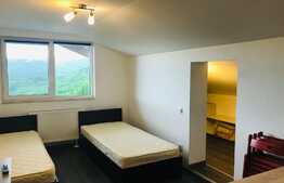 Apartament pe 2 nivele, 80 mp, pet friendly, imobil nou, mobilat modern, zona strazii Edgar Quinet