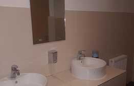 Spatiu multifunctional open space, 320 mp, zona McDonald`s