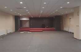 Spatiu multifunctional open space, 320 mp, zona McDonald`s