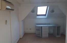 Casa pentru birouri, 336 mp, 10 incaperi, zona Casa de Cultura a Studentilor