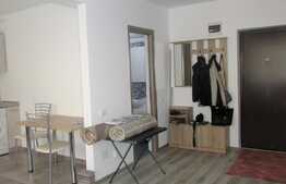 2 camere, 40 mp, totul nou, prima inchiriere, zona strazii Dunarii