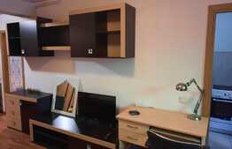 Apartament cu 1 camera, 35 mp, zona strazii Plopilor