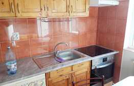Apartament de inchiriat, 2 camere, 35 mp, A. C., zona Bulevardului Muncii