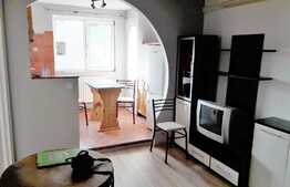 Apartament de inchiriat, 2 camere, 35 mp, A. C., zona Bulevardului Muncii
