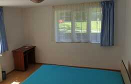 1 camera, 45 mp, terasa, zona strazii Vantului