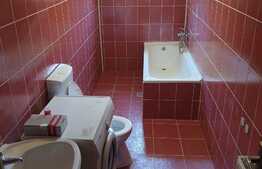 1 camera, 45 mp, terasa, zona strazii Vantului